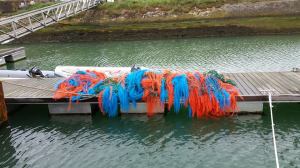 11164737_10153262156389670_5939931674615502323_n